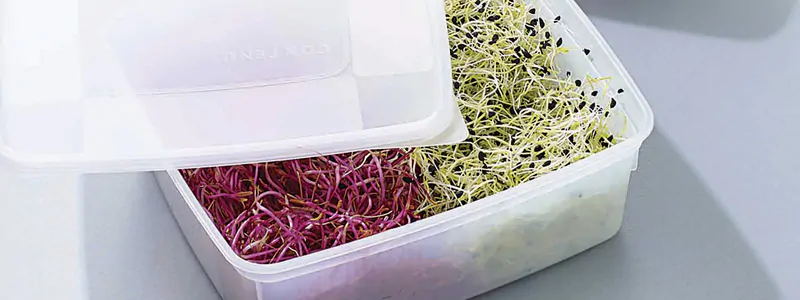 Ingredients Containers Ingredients Containers
