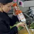 Dynamic Senior Mixer DMX 300 - detachable shaft - UK Plug - 2