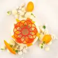 Silikomart Naturae Mould - Corona Ø68 xH2mm & Ø77 xH2mm - 5