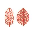 Silikomart Naturae Mould - Foresta 66x30 & 62x43 xH1mm - 4